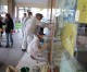 Monza, missione compiuta: il palazzo dell’Ufficio d’Igiene torna pulito