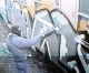 Denunciati otto graffitari internazionali