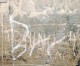 Scrive il suo nome sul Colosseo, placcato baby graffitaro