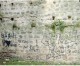 Dediche vandaliche sui muri del castello Caccia ai due autori
